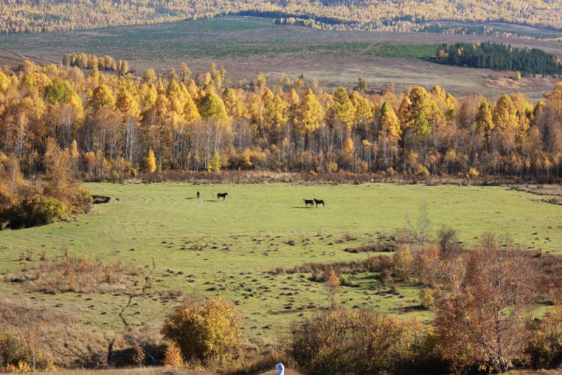 Село бурят янгуты